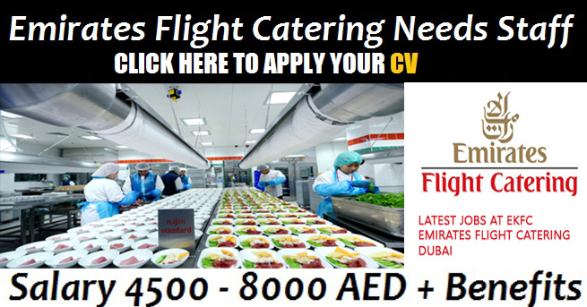 Latest Emirates Flight Catering Jobs February 2021 - Apply Now